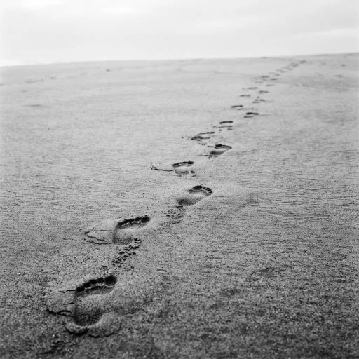Committed action